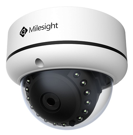 Milesight MS-C2173