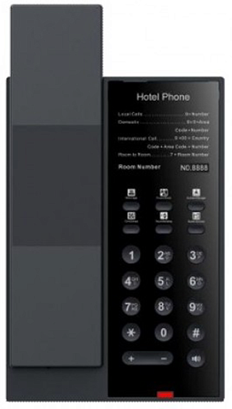 Fanvil H602
