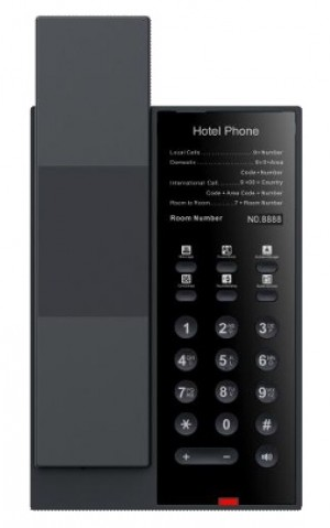Fanvil H602W