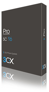 3CX Professional 16SC Maintenance, обслуживание