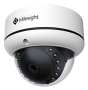 Milesight MS-C2173-P