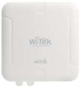 Wi-Tek WI-AP520AX-D